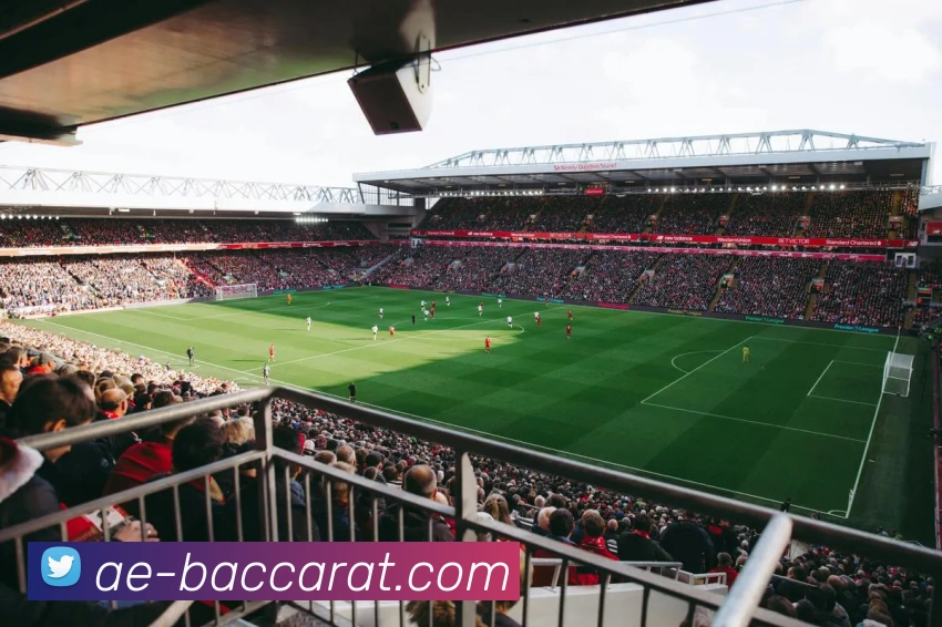 百家乐官网服务体系